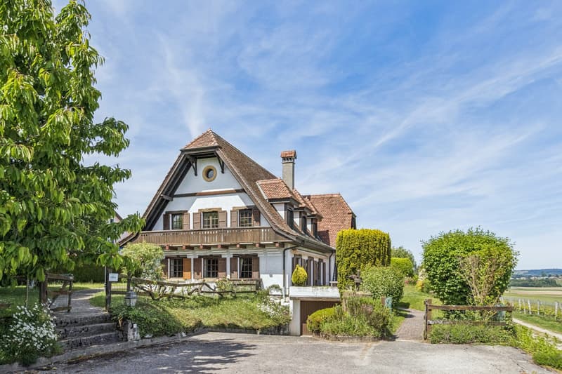 Village house with lake and Mont Blanc view (6)