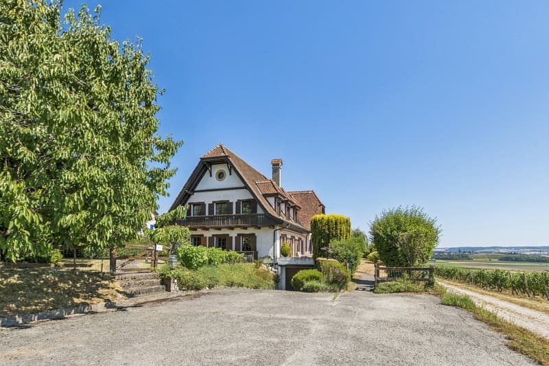 Village house with lake and Mont Blanc view (2)