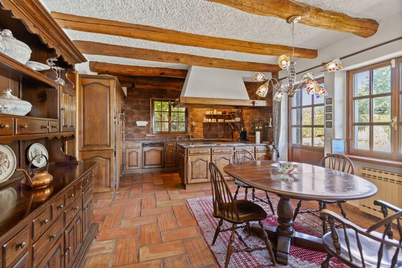 Village house with lake and Mont Blanc view (12)