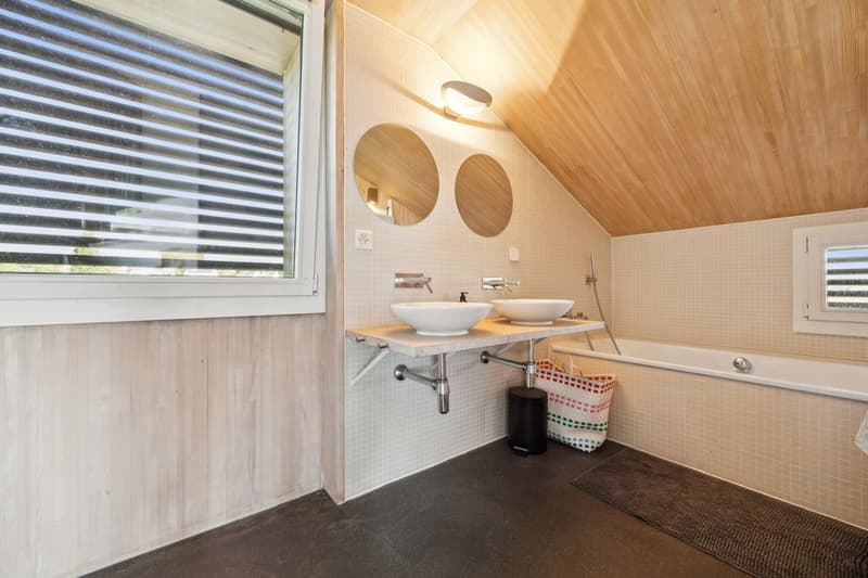 A haven of peace with a magnificent view of the lake and Mont Blanc (11)