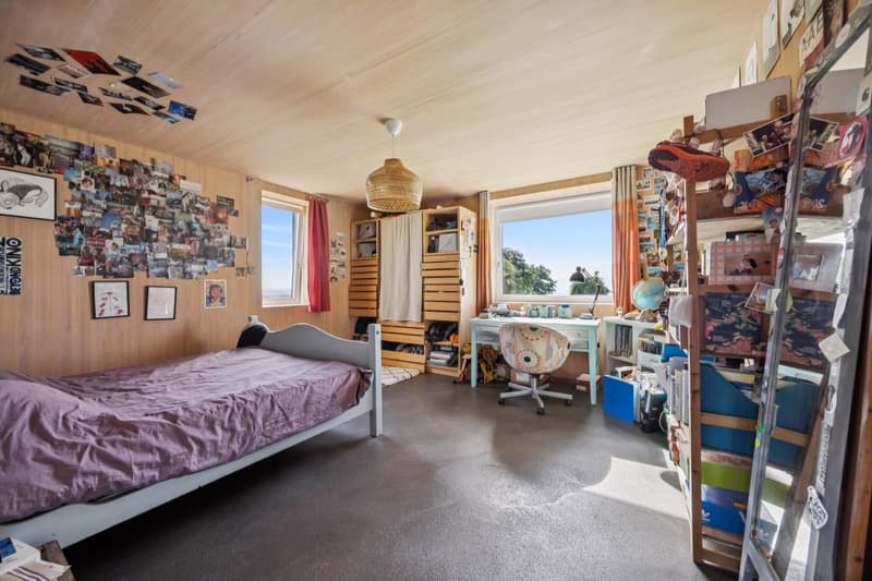 A haven of peace with a magnificent view of the lake and Mont Blanc (9)