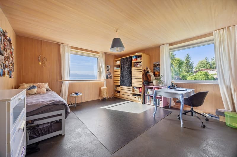 A haven of peace with a magnificent view of the lake and Mont Blanc (7)