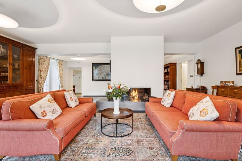 Exceptional Master House (3)