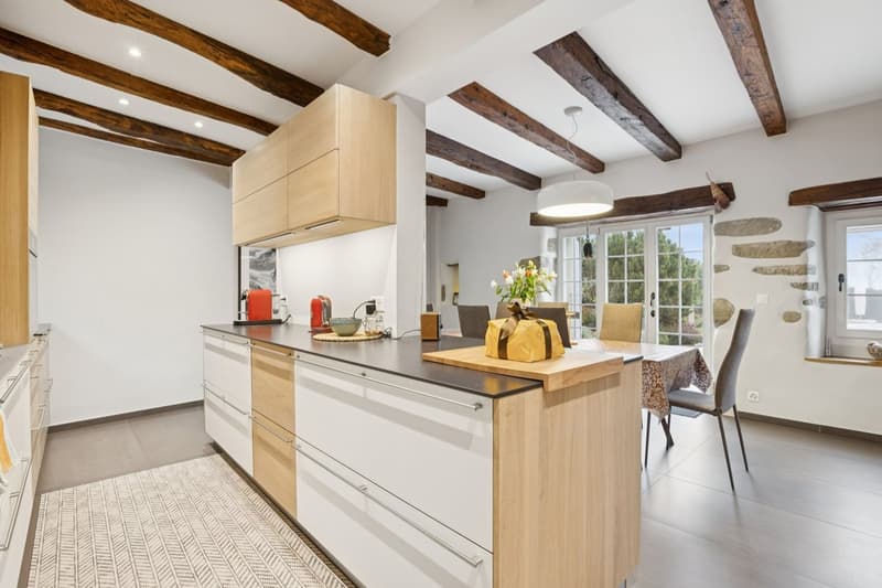 Exceptional Master House (7)