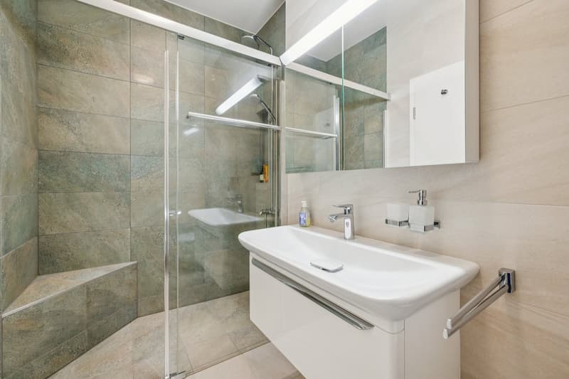 Un appartement d'exception entre ciel et lac (12)