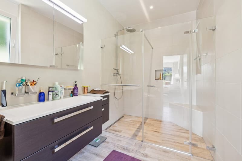 Un appartement d'exception entre ciel et lac (10)