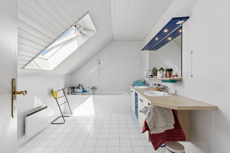 Belle maison villageoise (12)
