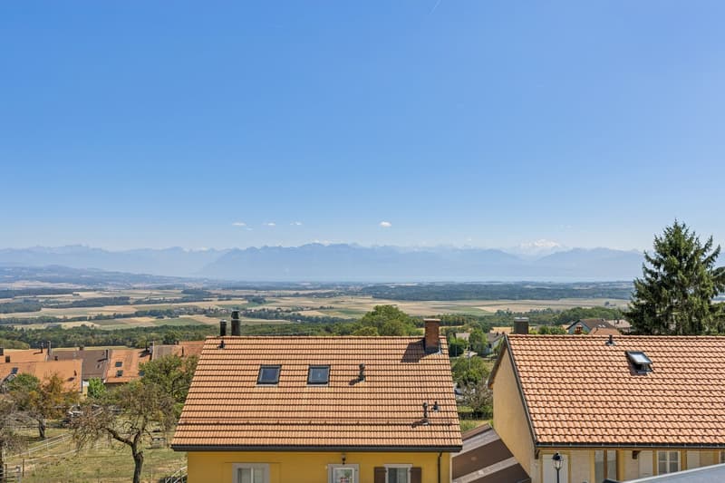 Élégant appartement avec mezzanine et panorama exceptionnel sur le lac (1)