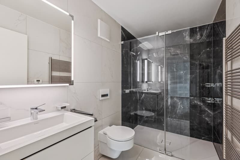 Élégant appartement avec mezzanine et panorama exceptionnel sur le lac (9)