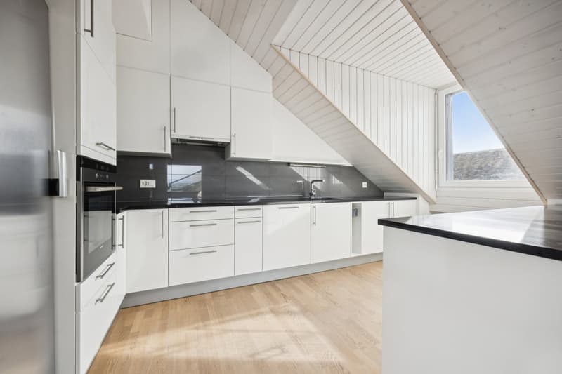 Spacieux duplex avec grande terrasse et beau dégagement sur le lac au (3)