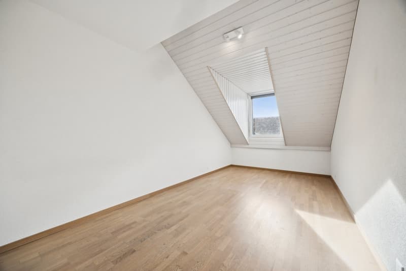 Spacieux duplex avec grande terrasse et beau dégagement sur le lac au (6)