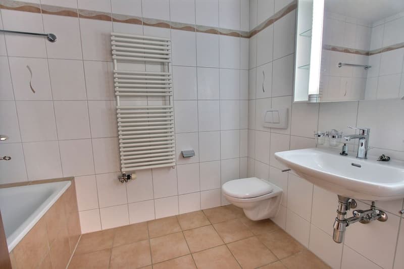 Spacious 4.5-room apartment (7)