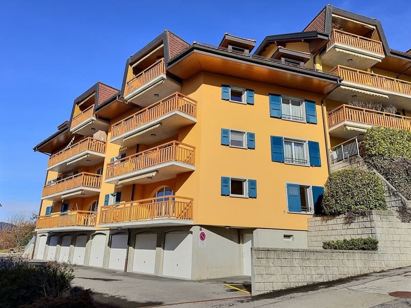 Spacious 4.5-room apartment (2)