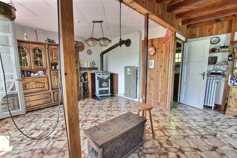 Beautiful chalet with 4-5 rooms and a view of the lake and the Dents-du-Midi (13)