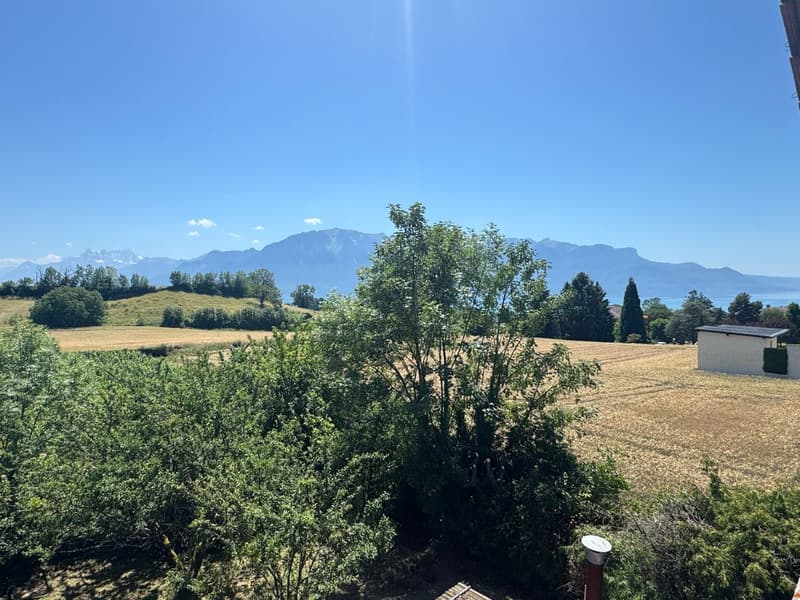 Beautiful chalet with 4-5 rooms and a view of the lake and the Dents-du-Midi (6)