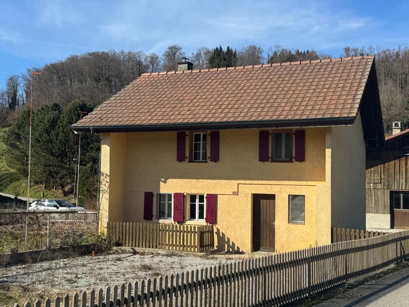 House with 5 rooms to renovate (2)