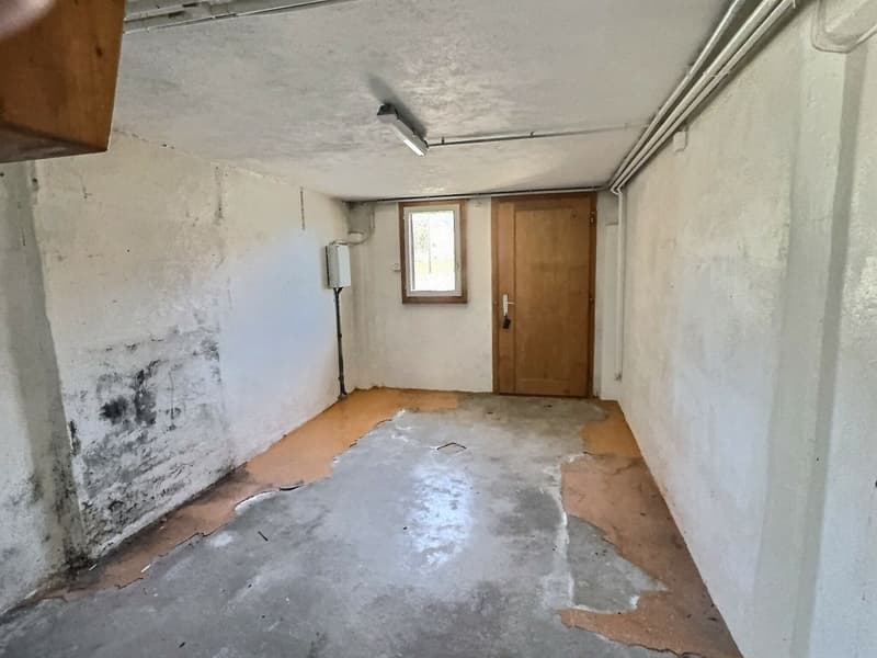 House with 5 rooms to renovate (11)