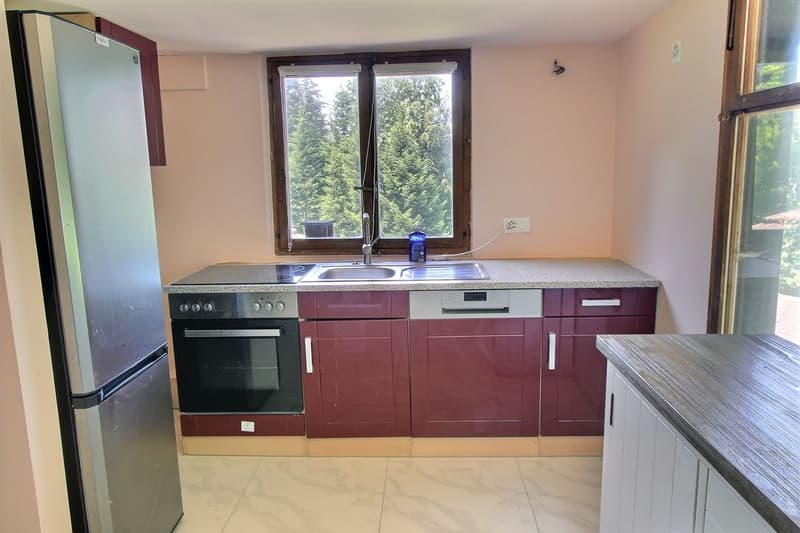 Chalet composto da 2 alloggi (7)