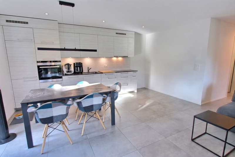 Spacieux et récent appartement de 2,5 pièces (1)
