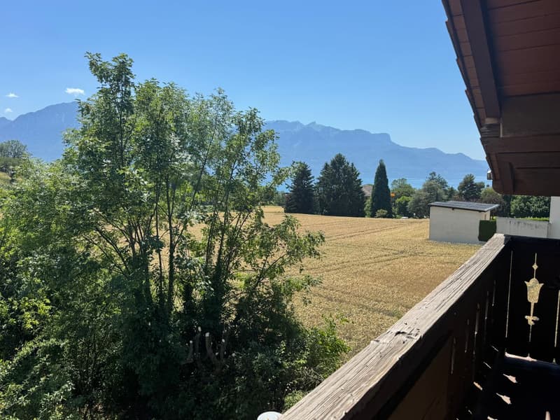 Joli chalet de 4-5 pièces avec vue sur le lac et les Dents-du-Midi (5)