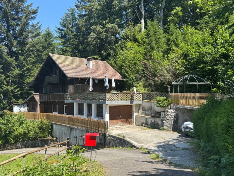 Chalet composé de 2 logements (1)