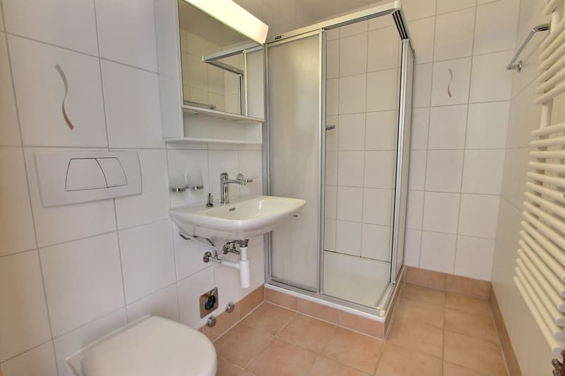 Spacieux appartement de 4,5 pièces (10)