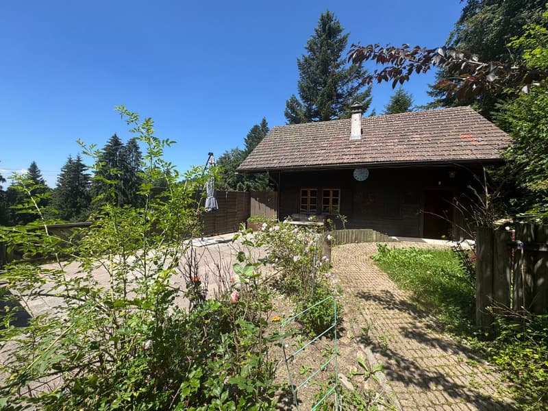Chalet composé de 2 logements (13)