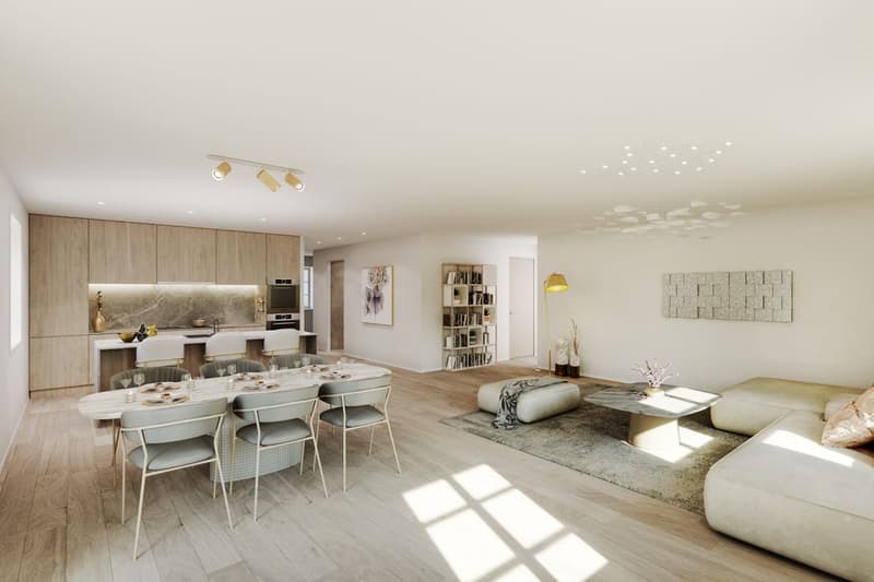 Immeuble à transformer avec permis de construire (4)