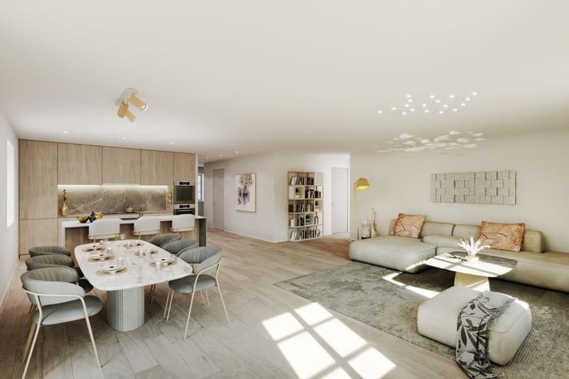 Immeuble à transformer avec permis de construire (3)