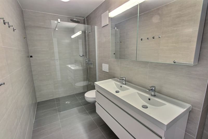 Spacieux appartement de 5,5 pièces en duplex (7)