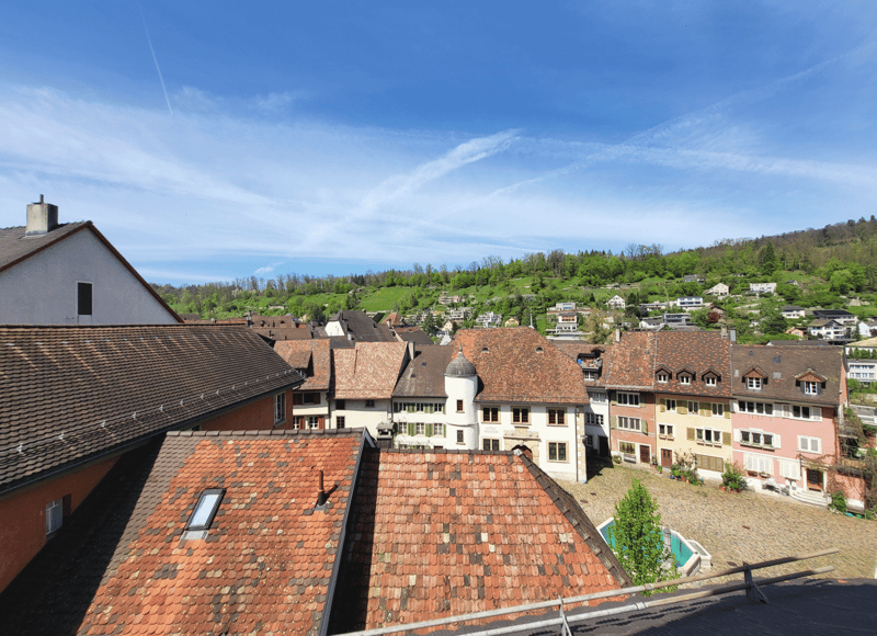 Erstbezug nach Sanierung - Charmante Altstadtwohnungen im Stadtkern von Brugg (1)