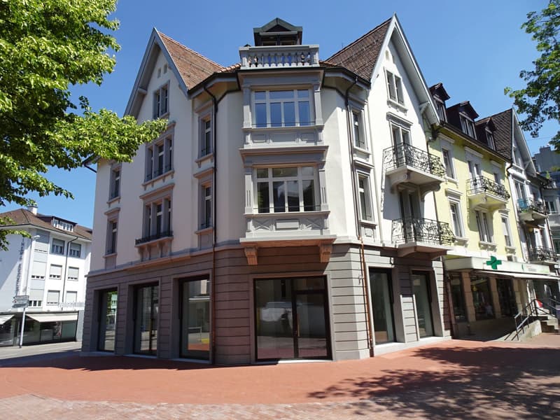 Grosszügige, helle 3.5-Zimmer-Wohnung an zentralster Lage in Brugg (1)