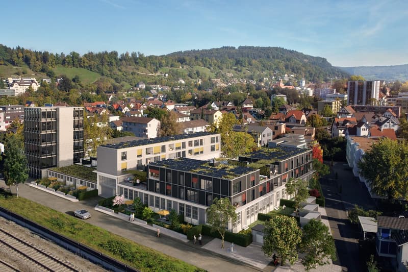 Neubauprojekt Rütschi+ 6.5-Zimmer-Etagenwohnung mit Terrasse (1)