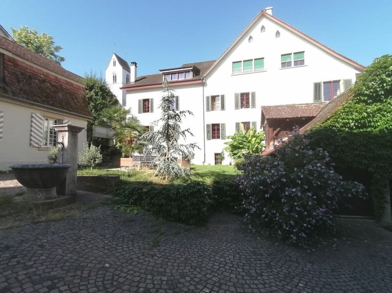 Local commercial au rez-de-chaussée dans la vieille ville de Brugg (10)