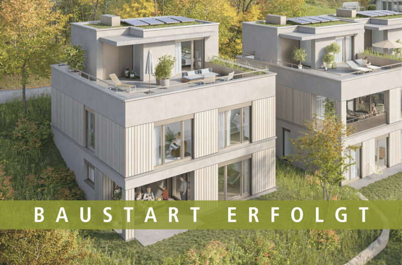 EINFAMILIENHAUS - UNTERDORF MÖNTHAL - Zeitgemässe Architektur mitten im Grünen (1)