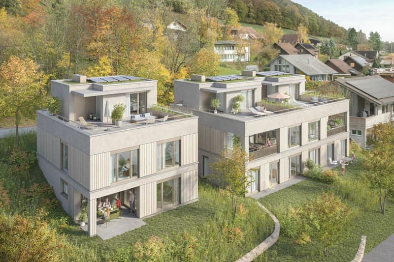 Maison à deux familles - UNTERDORF MÖNTHAL - Architecture contemporaine au milieu de la nature (6)