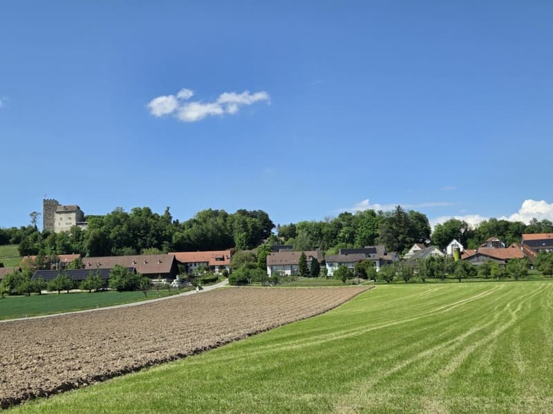 Preferred building land plot (1'664m²), perfectly suitable for single, semi-detached, row or multi-family houses (4)