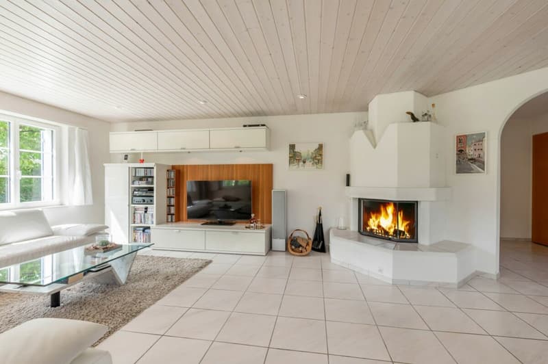 High-quality 6.5-room single-family house in a elevated quiet residential area! (4)