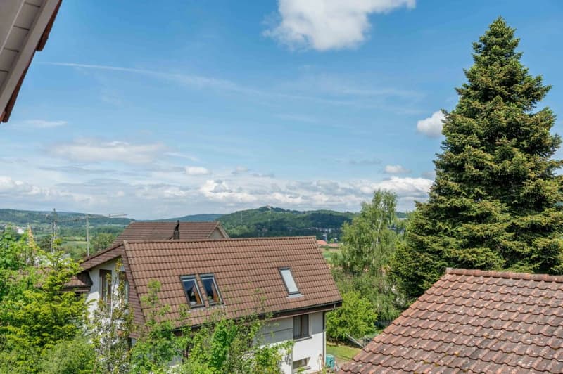 High-quality 6.5-room single-family house in a elevated quiet residential area! (12)