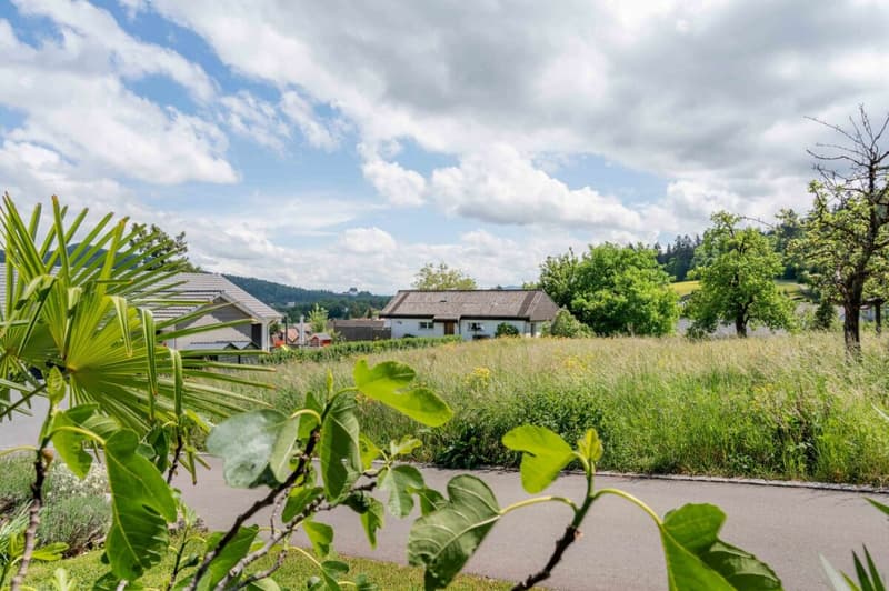 High-quality 6.5-room single-family house in a elevated quiet residential area! (22)