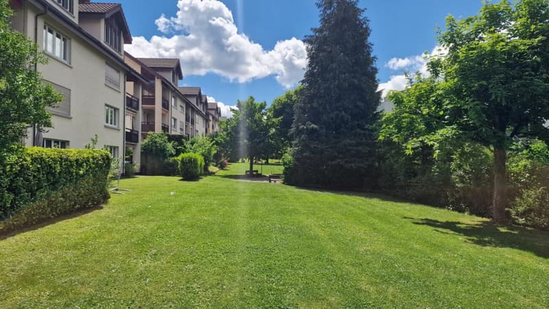 Appartamento attraente di 3,5 locali in una posizione ben collegata a Baden-Dättwil! (14)