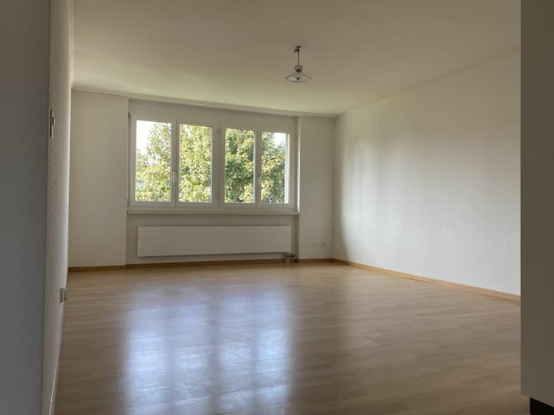Appartamento attraente di 3,5 locali in una posizione ben collegata a Baden-Dättwil! (4)