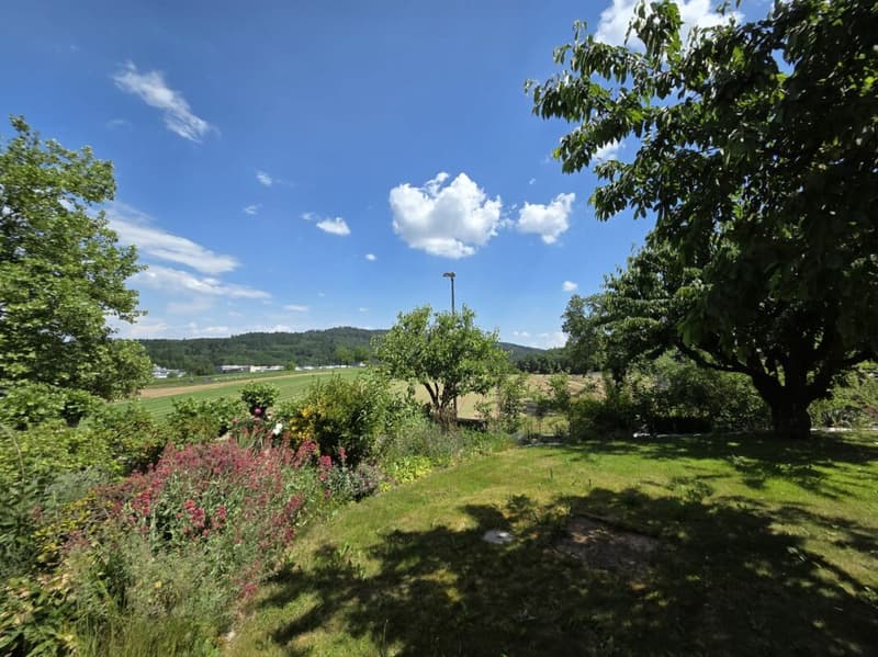 Appartement de 3,5 pièces au rez-de-chaussée situé dans un endroit calme avec un jardin charmant et une vue sur les environs verts (12)