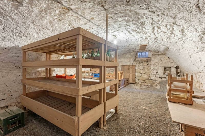 Casa con due appartamenti di 2,5 locali e potenziale di sviluppo nel centro del villaggio tranquillo di Remigen (22)