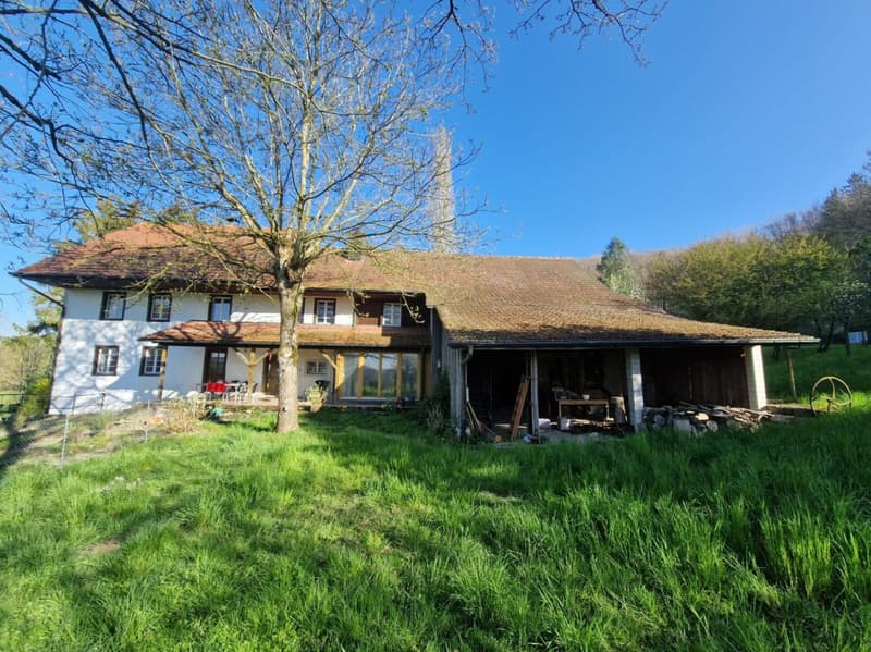 Unique farmhouse with plenty of surrounding space (1)