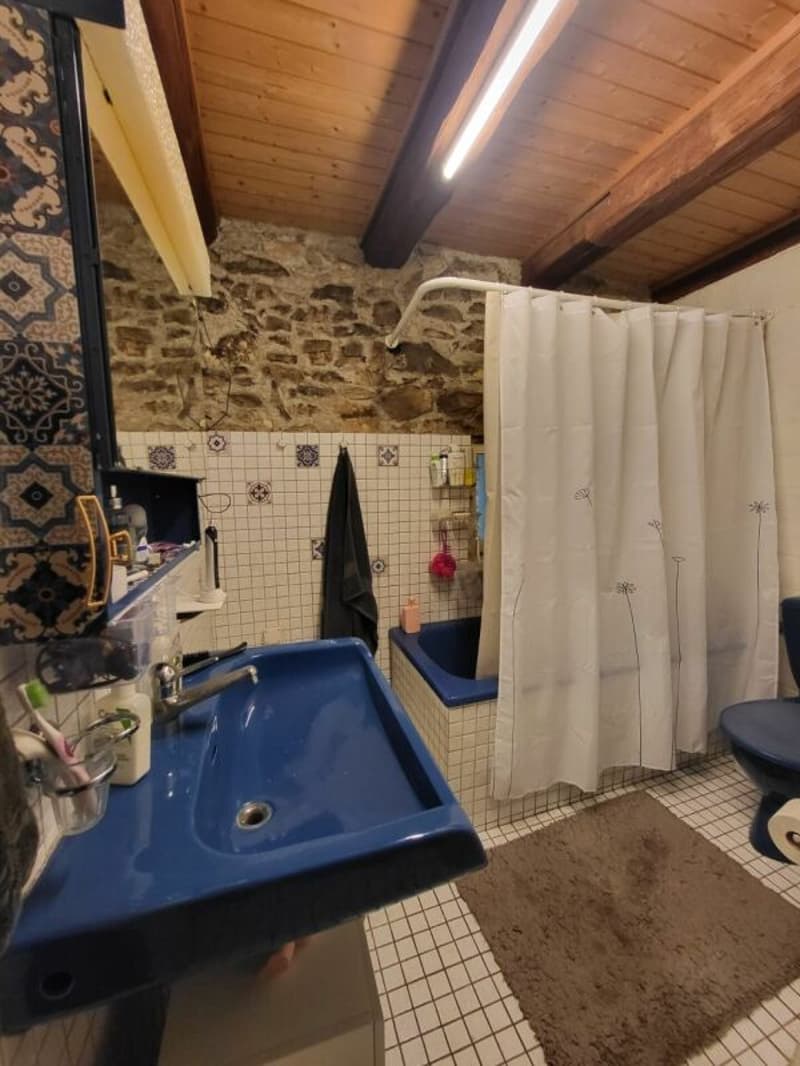 Unique farmhouse with plenty of surrounding space (8)