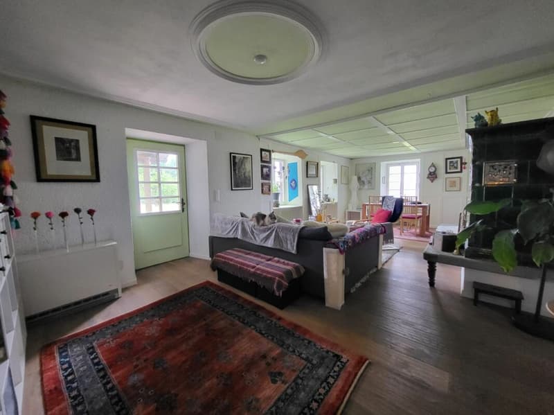 Unique farmhouse with plenty of surrounding space (4)