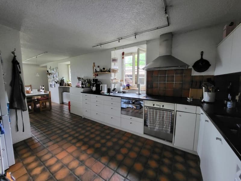 Unique farmhouse with plenty of surrounding space (2)