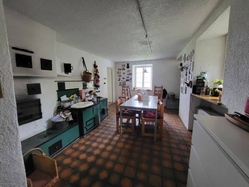 Unique farmhouse with plenty of surrounding space (3)
