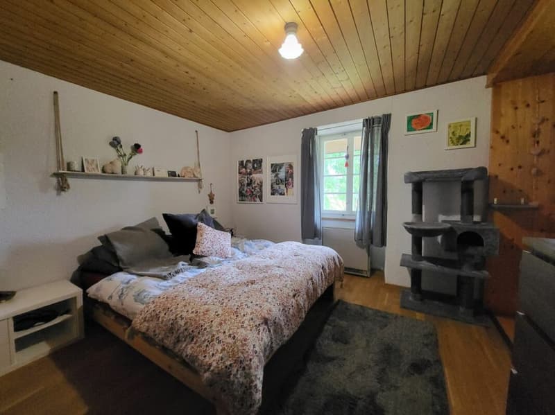 Unique farmhouse with plenty of surrounding space (5)